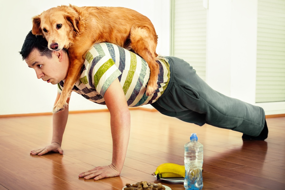 Alles wat je moet weten over de beweging van je hond Cooper Pet Care
