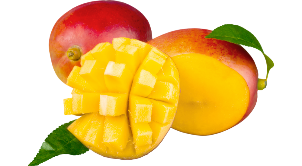 Is Mango Peel Good For Dogs Best Sale Emergencydentistry