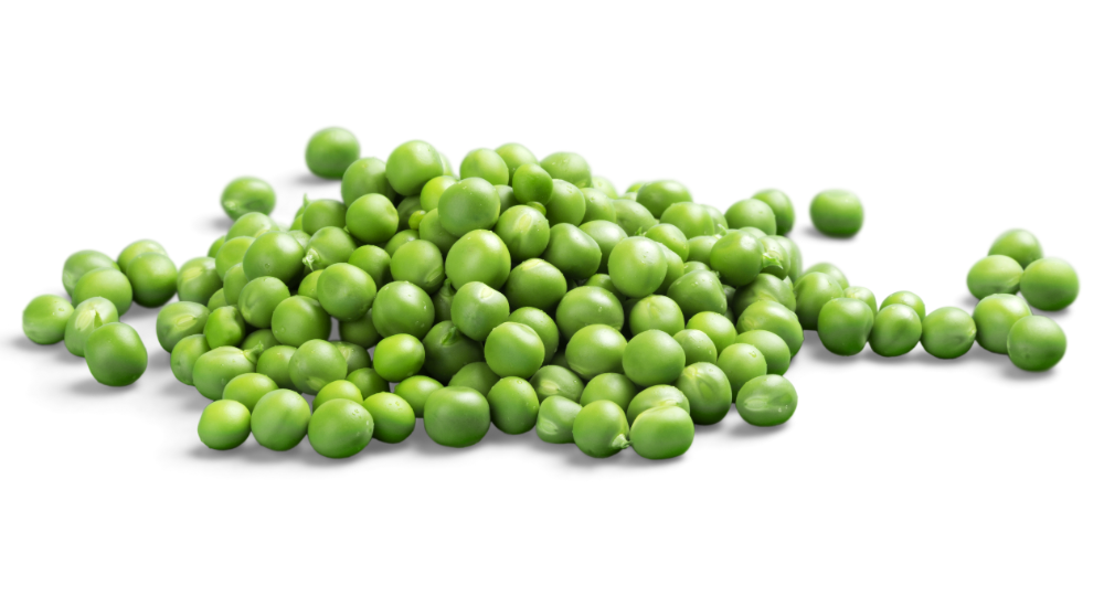 Green peas good outlet for dogs